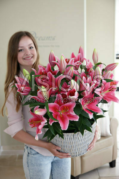 Lilium Pink Romance