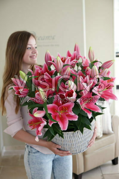 Lilium Pink Romance