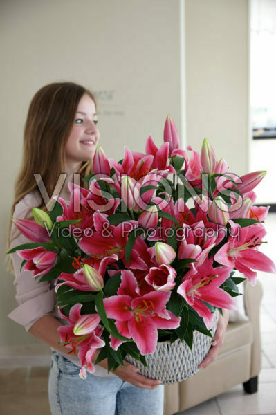 Lilium Pink Romance