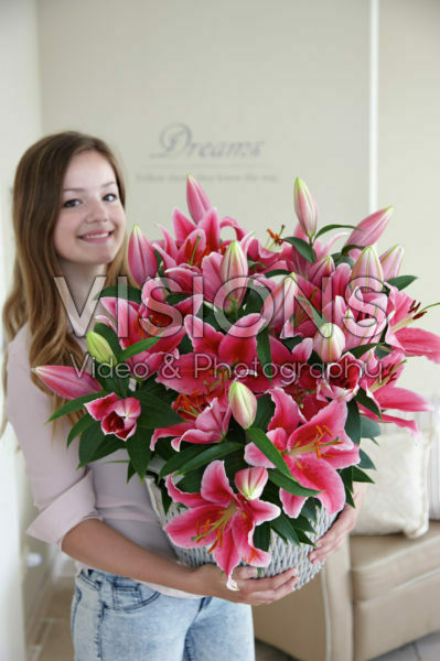 Lilium Pink Romance