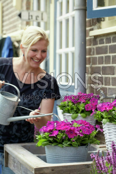 Woman watering petunia