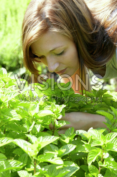 Dame ruikt munt plant