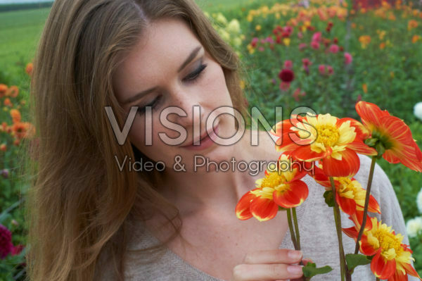 Dahlia Pooh Dahlia Pooh