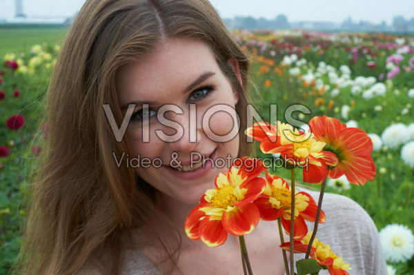 Dahlia Pooh Dahlia Pooh