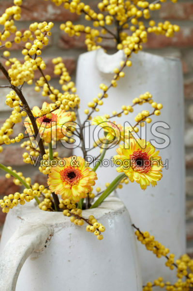 Gerbera and Ilex bouquet