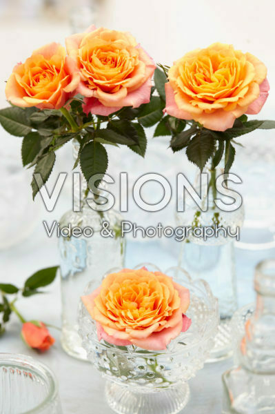 Roses in vases