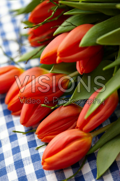 Bunch of orange tulips