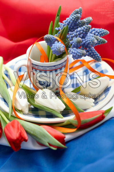 Muscari flowers in cup and saucer