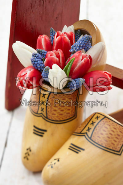 Spring flowers in clogs
