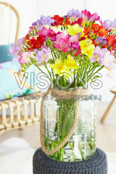 Freesia mixed