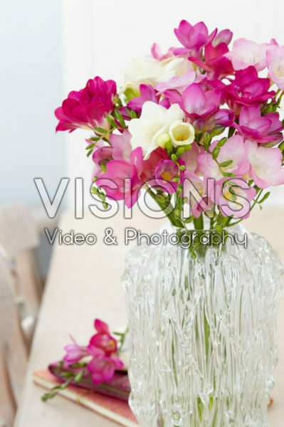 Freesia mixed