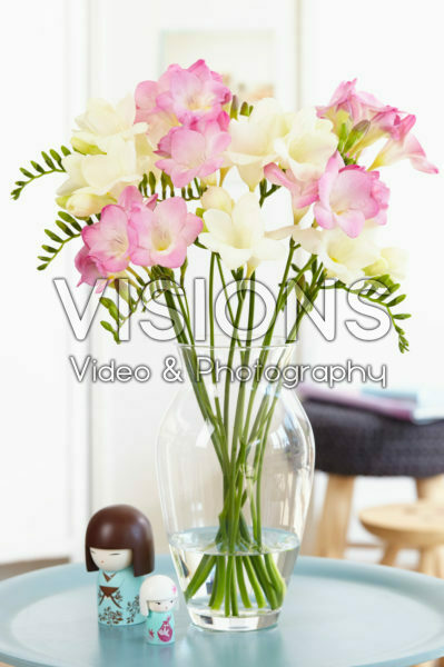 Freesia mixed