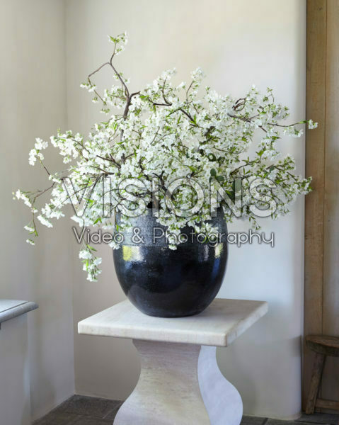 Spring blossom in vase