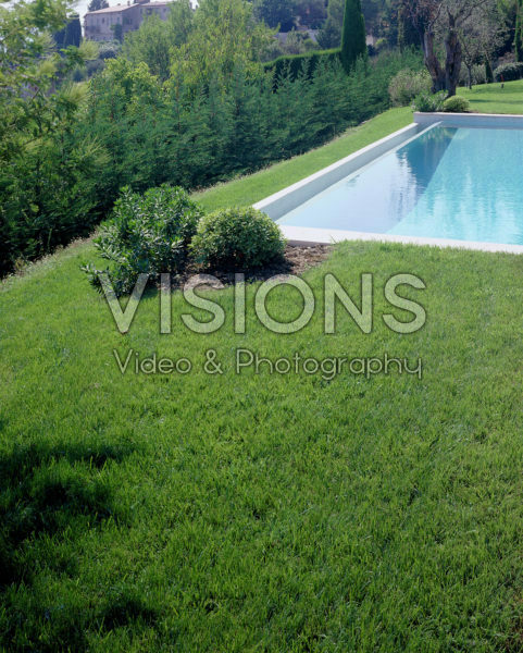 Lawn with swimming pool