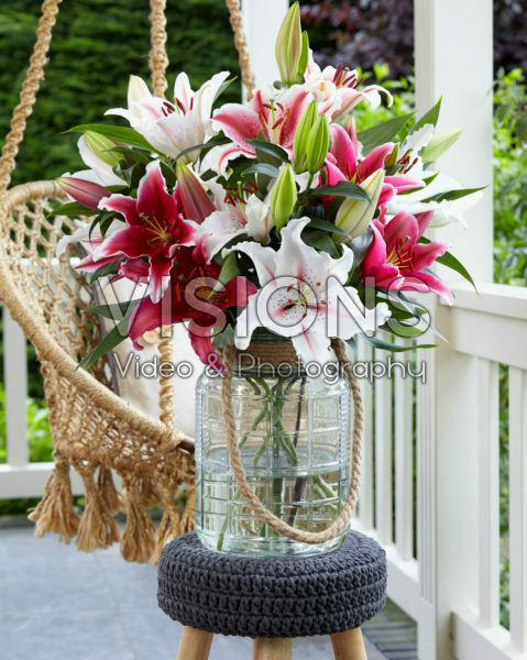 Lilium mix