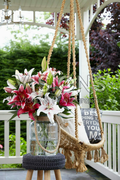 Lilium mix