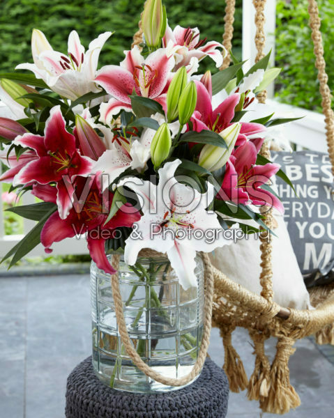 Lilium mix Lilium mix