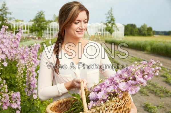 Lady picking Delphinium flowers