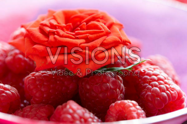 Rose on raspberries