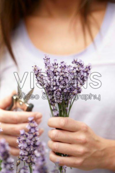 Lady with lavender flowers