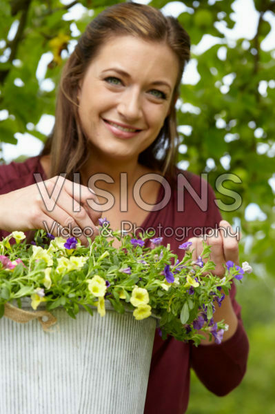 Calibrachoa Triobells