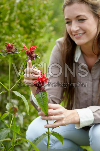 Lady with Monarda flowers