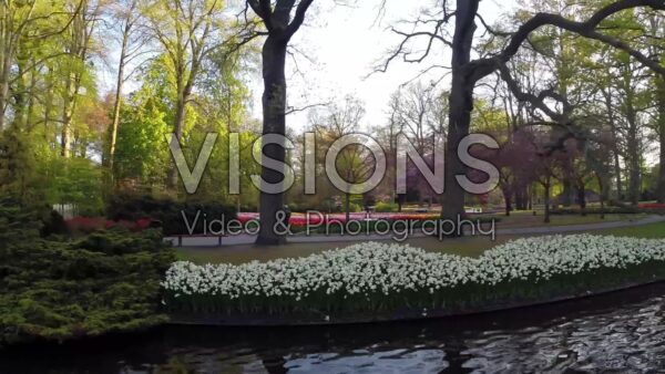 VIDEO Keukenhof, spring garden