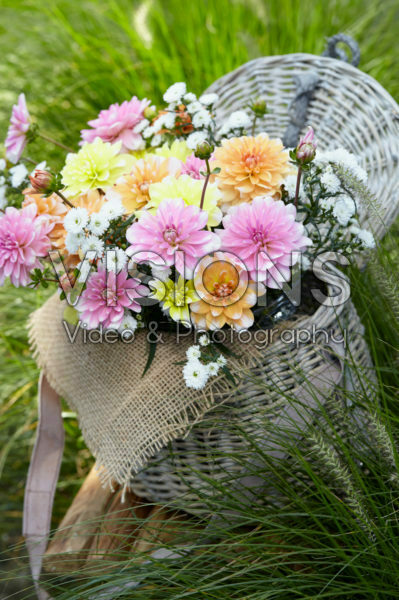 Dahlia bouquet pastel