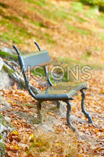 Garden bench in autumn forest