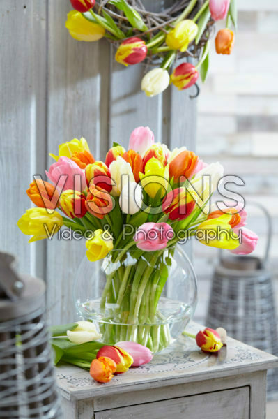 Tulipa mix Tulipa mix