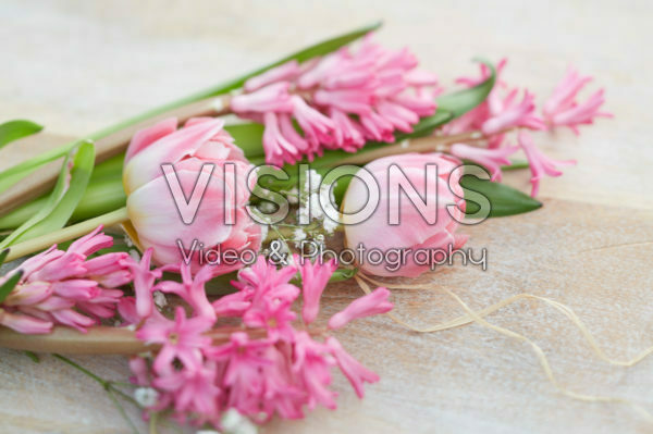 Hyacinthus Johanna, Tulipa Endless Love