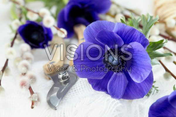 Anemone Mistral Blue Anemone Mistral Blue