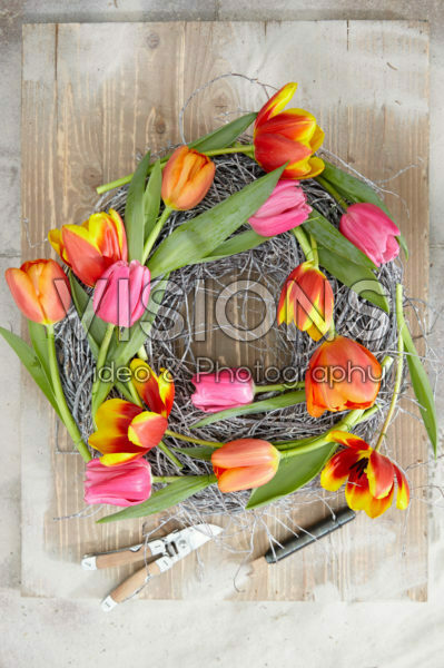 Tulipa wreath
