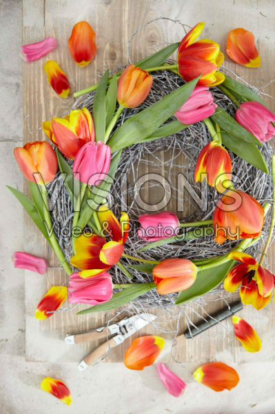 Tulipa wreath