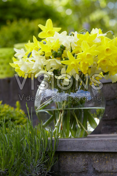 Narcissus Sensation bouquet