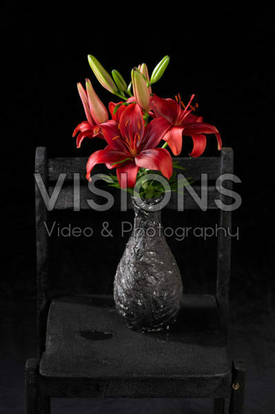 Lilium in vase