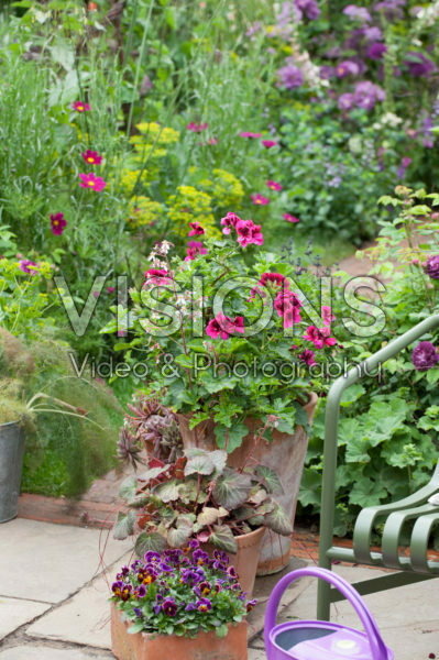 Zomer tuin
