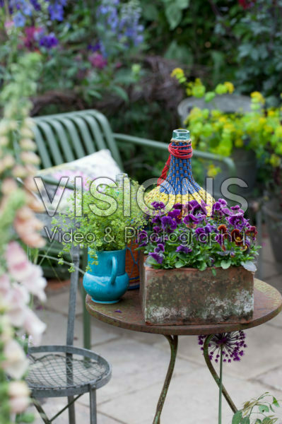 Zomer tuin Zomer tuin
