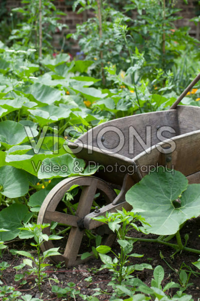 Houten kruiwagen Houten kruiwagen