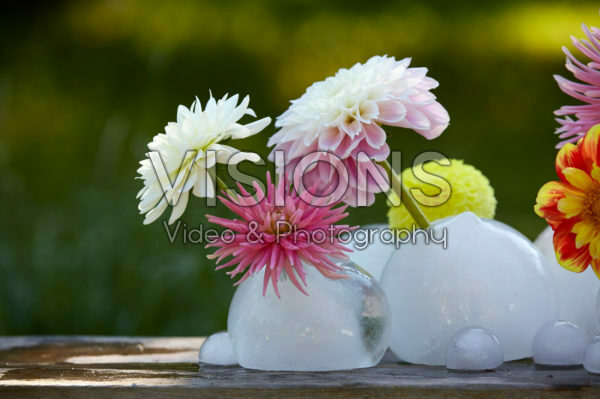 IJs vazen met dahlias IJs vazen met dahlias