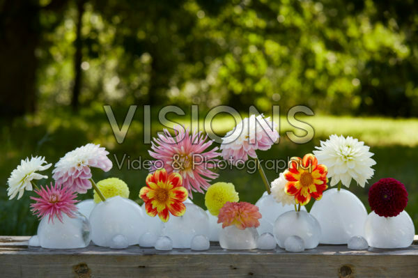 Ice vases with dahlias Ice vases with dahlias