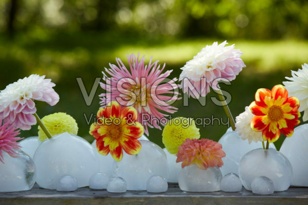 IJs vazen met dahlias IJs vazen met dahlias