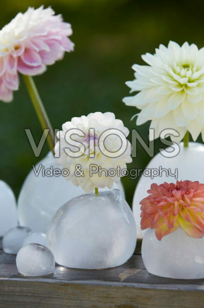 Ice vases with dahlias