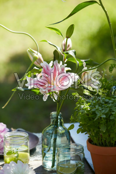 Lily in vase Lily in vase