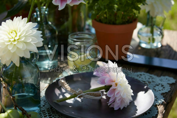 Dahlia on plate