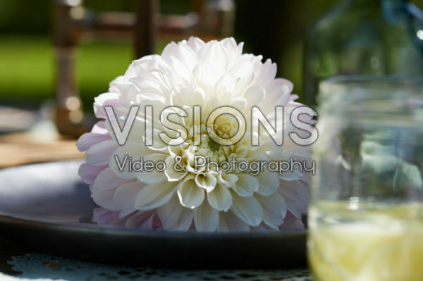 Dahlia op bord Dahlia op bord