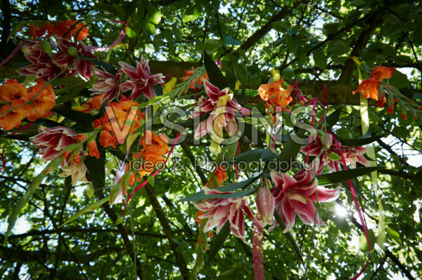 Summer flowers hanging in tree Summer flowers hanging in tree