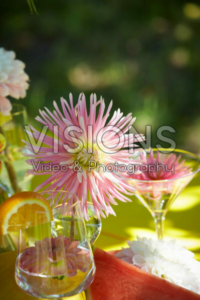 Dahlia's in glazen Dahlia's in glazen