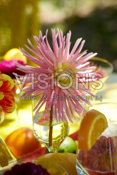Dahlias in glasses Dahlias in glasses