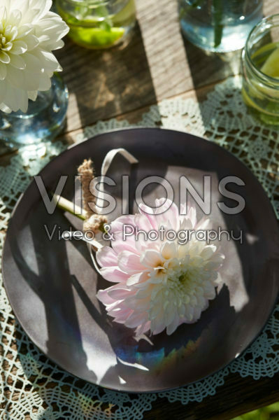 Dahlia on plate Dahlia on plate